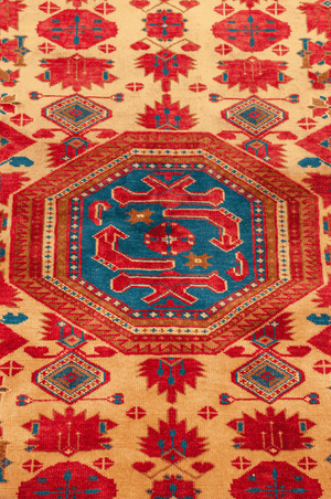 Pakistani Turkmeni Hand-Made Wool Rug - Tabak Rugs