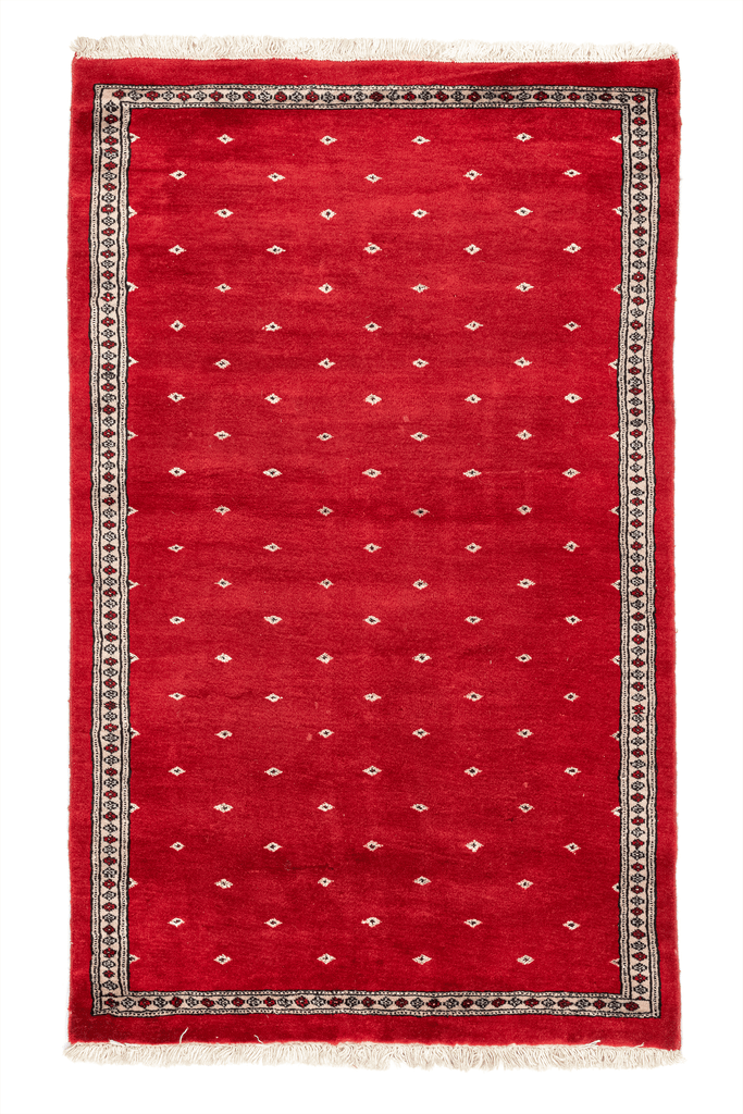 Pakistani Hand-Made Wool Rug - Tabak Rugs
